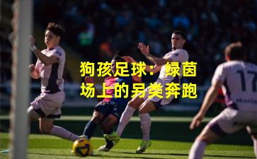 狗孩足球：绿茵场上的另类奔跑
