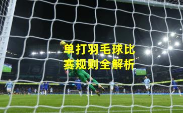 单打羽毛球比赛规则全解析 单打羽毛球比赛规则全解析