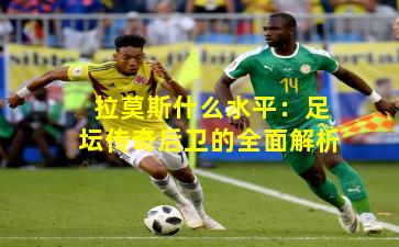 拉莫斯什么水平：足坛传奇后卫的全面解析