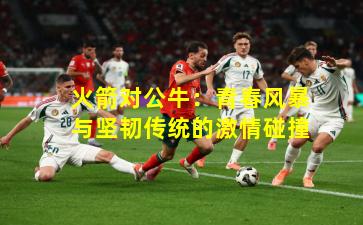 火箭对公牛：青春风暴与坚韧传统的激情碰撞