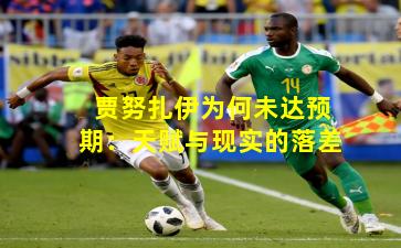 贾努扎伊为何未达预期：天赋与现实的落差